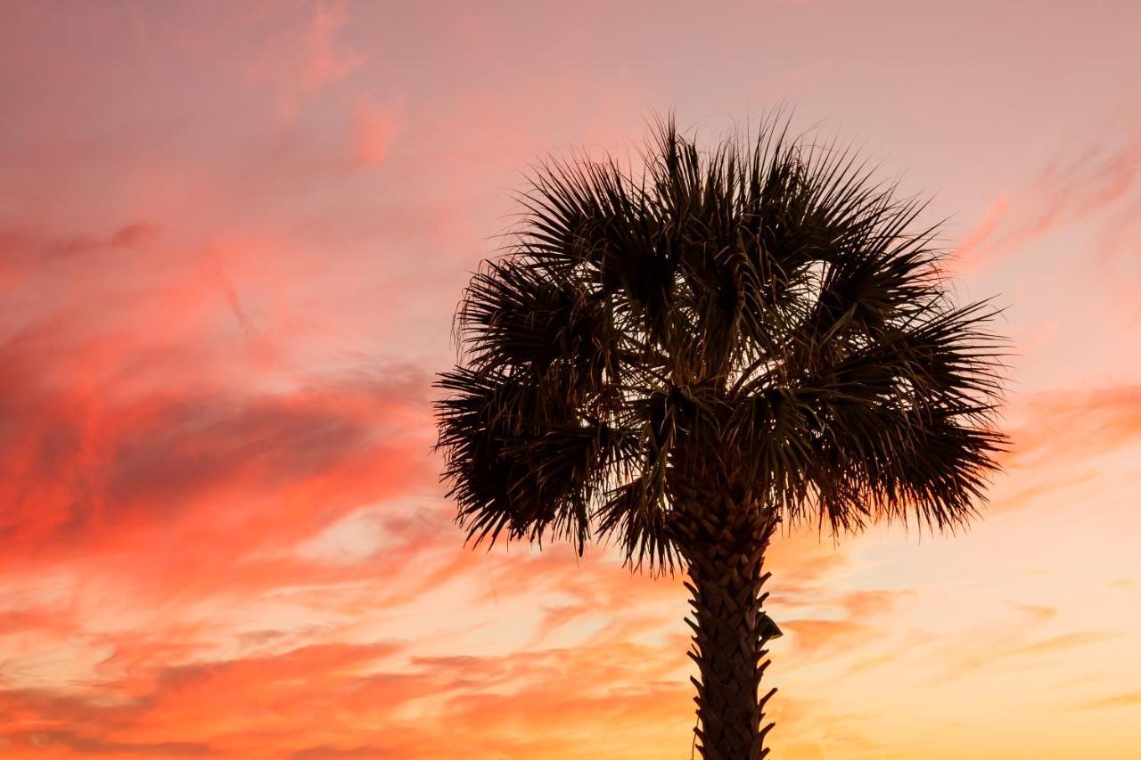 1314 Pelican Watch - Seabrook Island - Beachfront 5 Star Condo - Fido Friendly מראה חיצוני תמונה