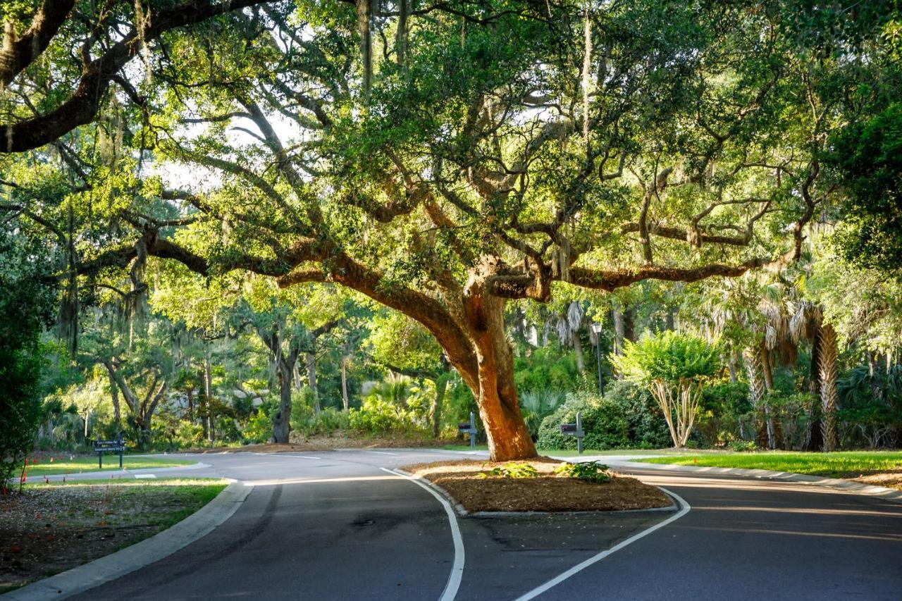 1314 Pelican Watch - Seabrook Island - Beachfront 5 Star Condo - Fido Friendly מראה חיצוני תמונה