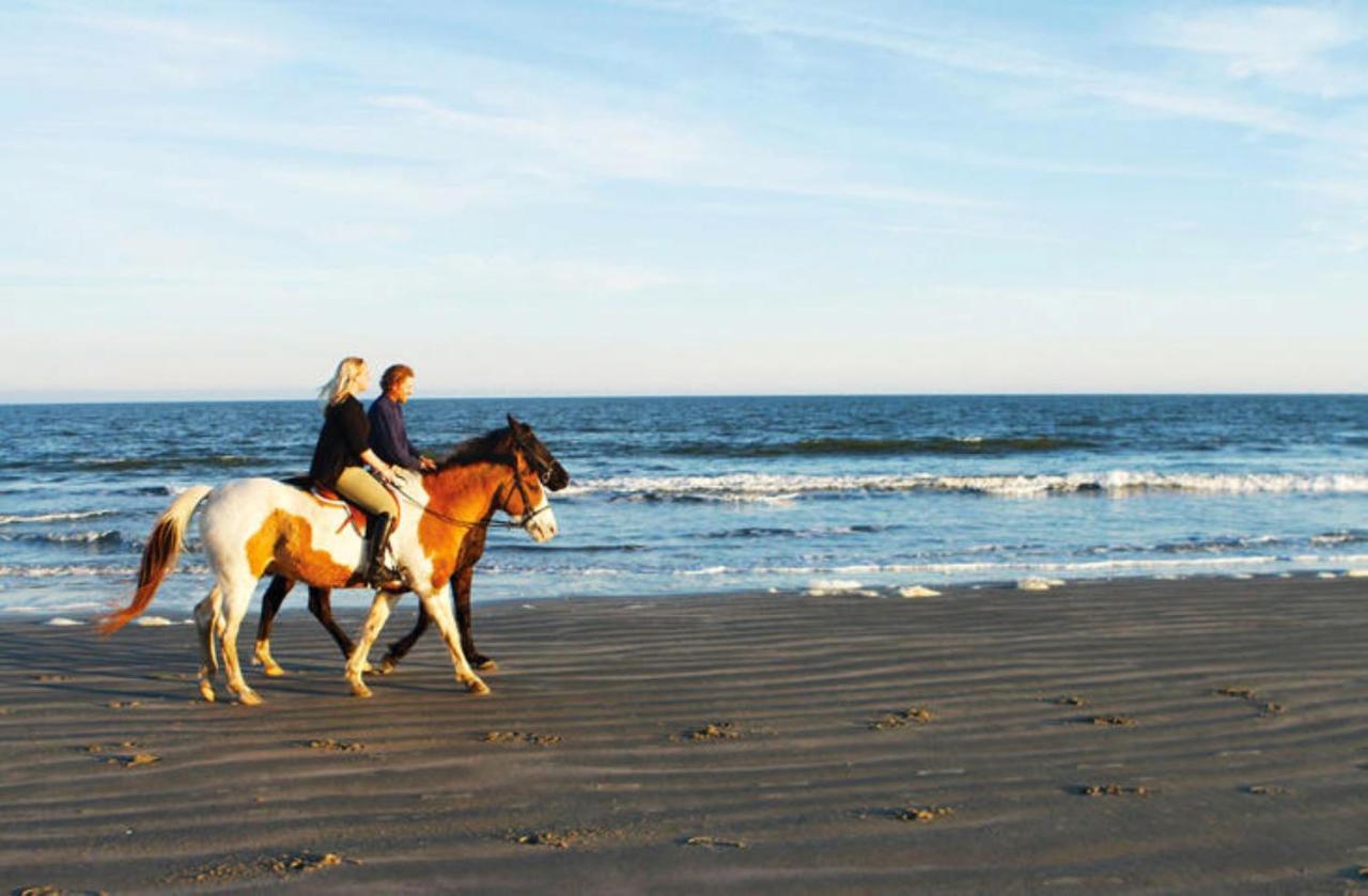 1314 Pelican Watch - Seabrook Island - Beachfront 5 Star Condo - Fido Friendly מראה חיצוני תמונה